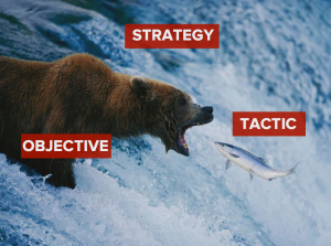 Image credit: No hibernation for the Content Strategy Bear